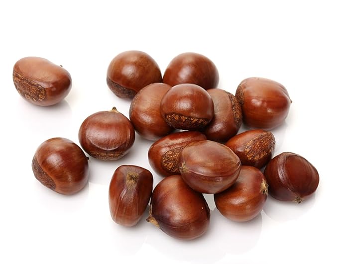Fresh Raw Chestnuts (5 Pounds)