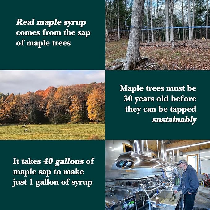 Vermont Maple Syrup's Organic Fine Granulated Vermont Maple Sugar, 1 lb - Subtle Maple Syrup Sweetness, Perfect Sugar Substitute for Baking, Coffee, and Oatmeal
