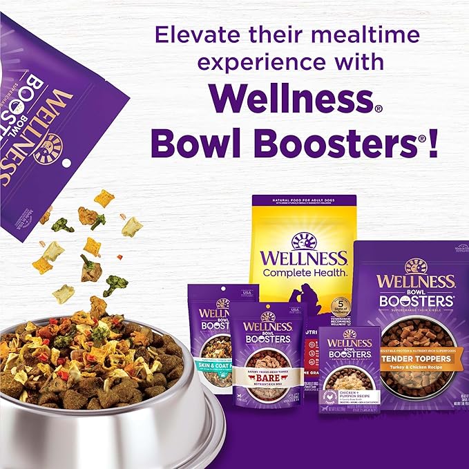 Wellness Complete Health Dry Dog Food, Grain Free, Natural, Chicken Recipe, (22-Pound Bag)