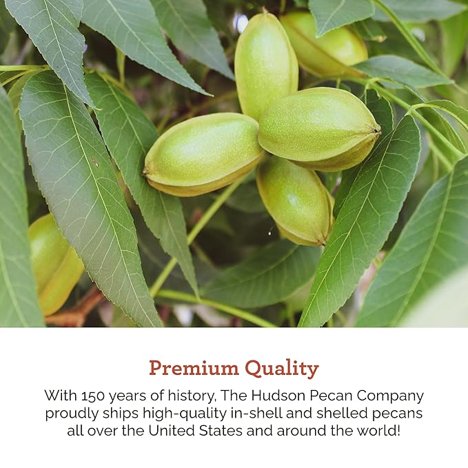 HUDSON PECAN COMPANY | Fresh Chopped Georgia Pecans | Local, All-Natural & Kosher, Heart-Healthy | Crunchy Nuts Perfect for Baking, Cooking, Salads & Desserts, 12 oz Resealable Bag