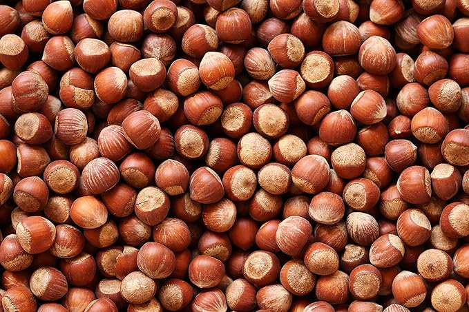 Raw In Shell Filberts/Hazelnuts (3 Lbs.) - Vegan & Keto Friendly - Super Crunchy & Delicious - Natural jumbo Oregon Filberts/Hazelnuts - Packed with Nutrients - Farm Fresh Nuts Brand