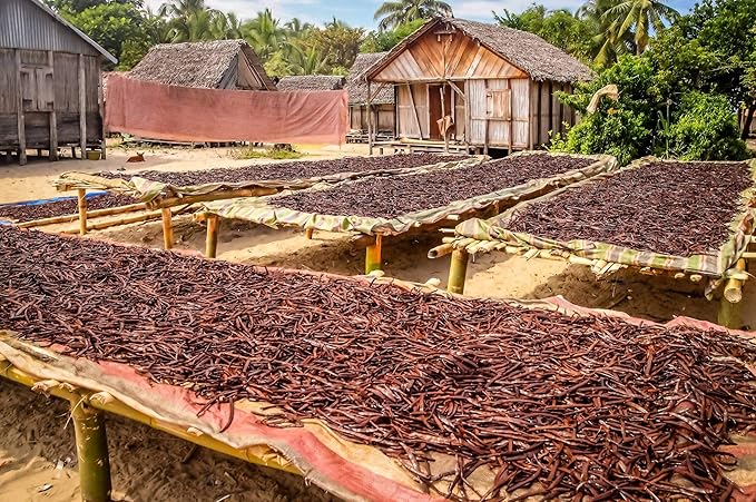 5 Organic Madagascar Vanilla Beans. Whole Grade A Vanilla Pods for Vanilla Extract and Baking