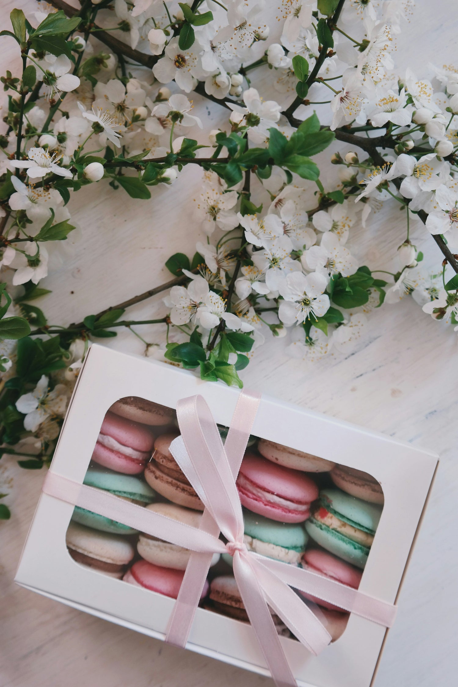 Cake Boards & Boxes