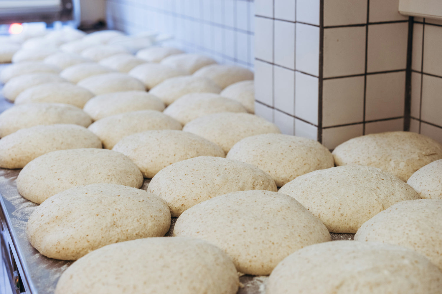 Yeast
