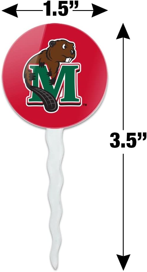 Minot State University Primary Logo Cupcake Picks Toppers Decoration Set of 6