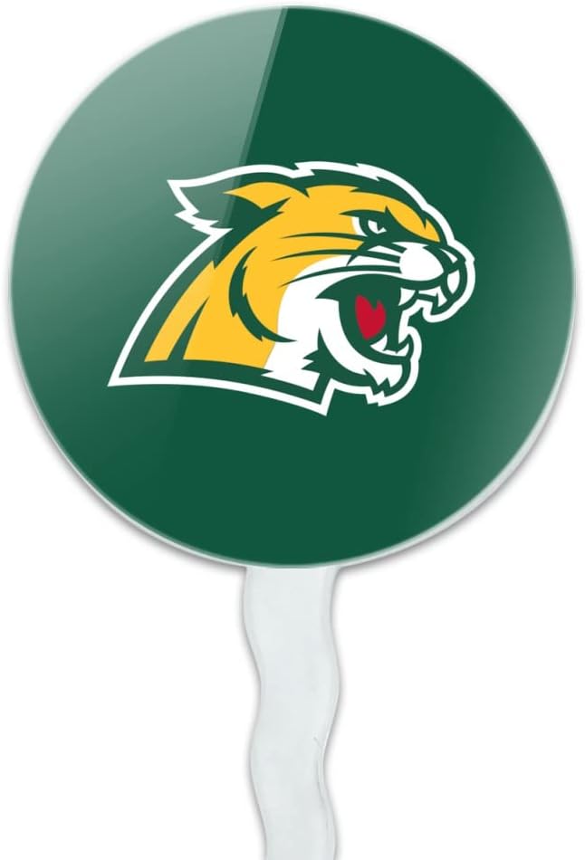 Northern Michigan Primary Logo Cupcake Picks Toppers Decoration Set of 6