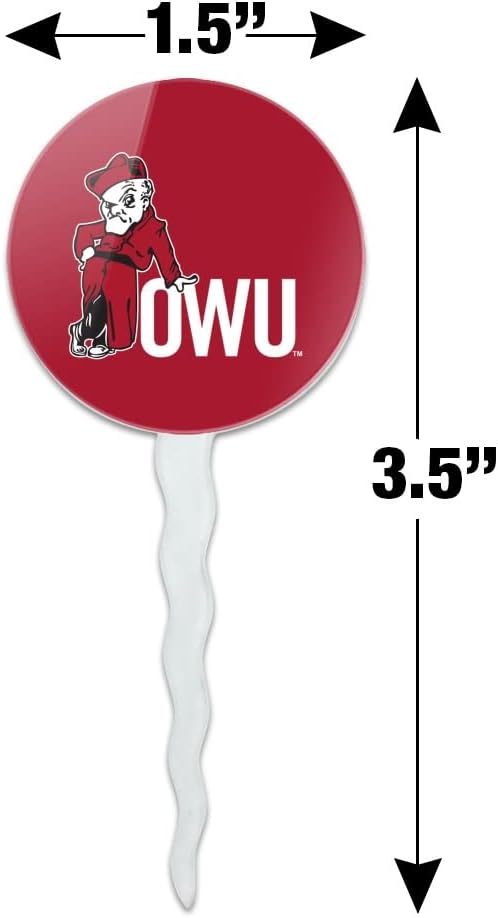 Ohio Wesleyan University Primary Logo Cupcake Picks Toppers Decoration Set of 6