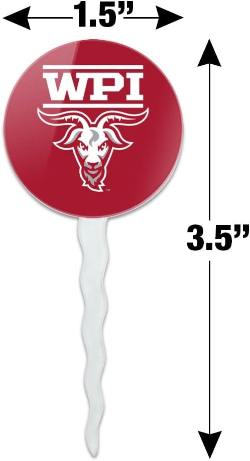 Worcester Poly Primary Logo Cupcake Picks Toppers Decoration Set of 6