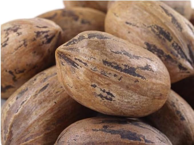 Nuts.com Pecans in Shell, 3lb Bag – Naturally Sweet, Raw, Fresh & Crunchy Nuts in Hard Shell – High in Fiber, Protein, and Healthy Fats