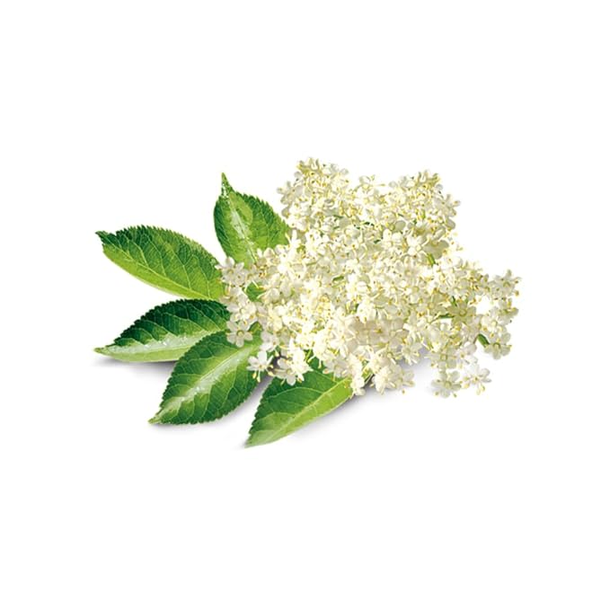 Elderflower Flavor Extract for Baking - Aromatic Floral Flavoring - Non-GMO - Gluten Free - Kosher - Vegan - 4 ounces