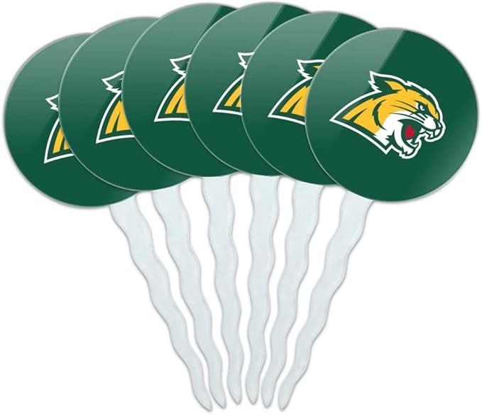 Northern Michigan Primary Logo Cupcake Picks Toppers Decoration Set of 6