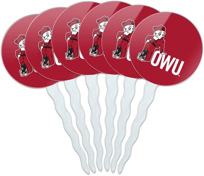 Ohio Wesleyan University Primary Logo Cupcake Picks Toppers Decoration Set of 6