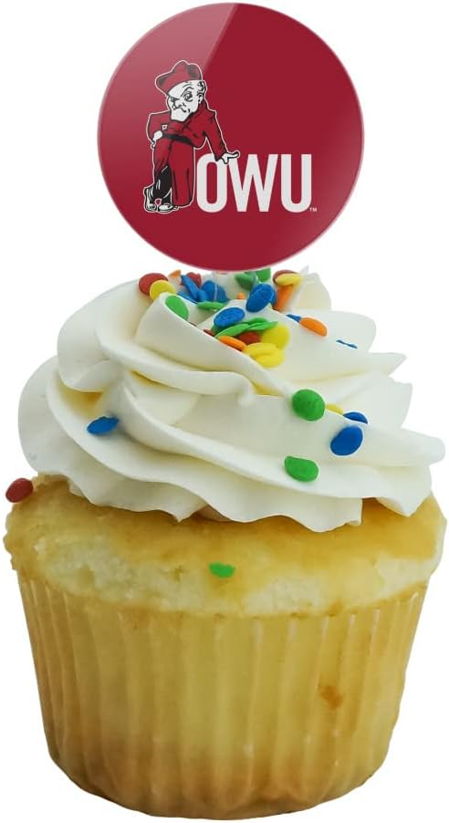 Ohio Wesleyan University Primary Logo Cupcake Picks Toppers Decoration Set of 6