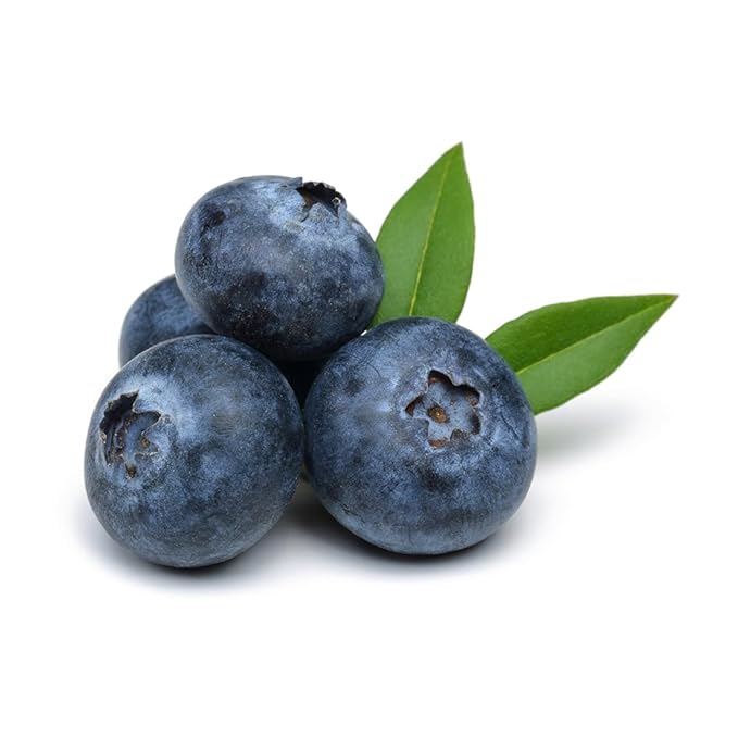 OliveNation Blackberry Extract 8 oz.