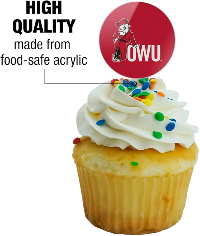 Ohio Wesleyan University Primary Logo Cupcake Picks Toppers Decoration Set of 6