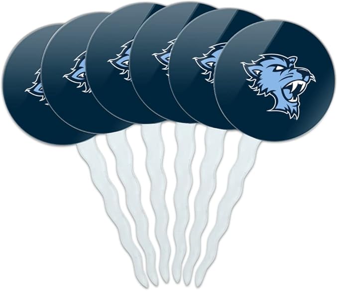 Baruch College Primary Logo Cupcake Picks Toppers Decoration Set of 6