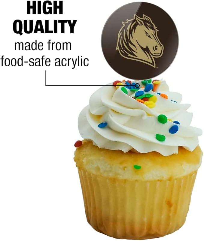 Southwest Minnesota State University Primary Logo Cupcake Picks Toppers Decoration Set of 6