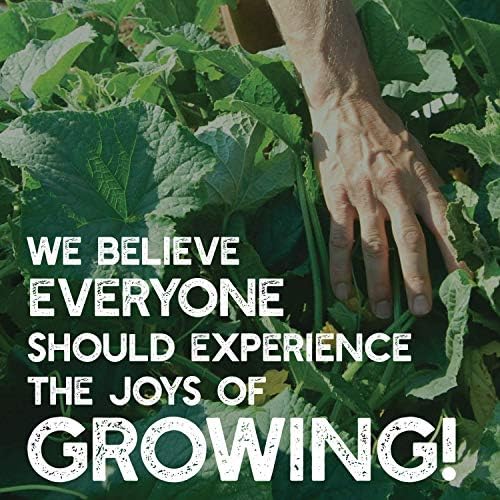 Handy Pantry Organic Spelt Seeds – Whole Ancient Grain for Baking, Juicing, Microgreens, Food Storage – 1 lb Resealable Bag – Non-GMO, Unprocessed, Raw
