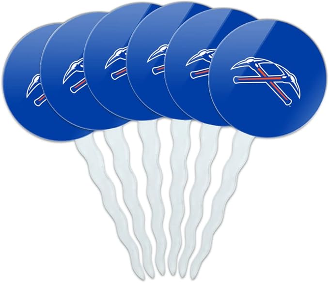 University of Wisconsin - Platteville Primary Logo Cupcake Picks Toppers Decoration Set of 6