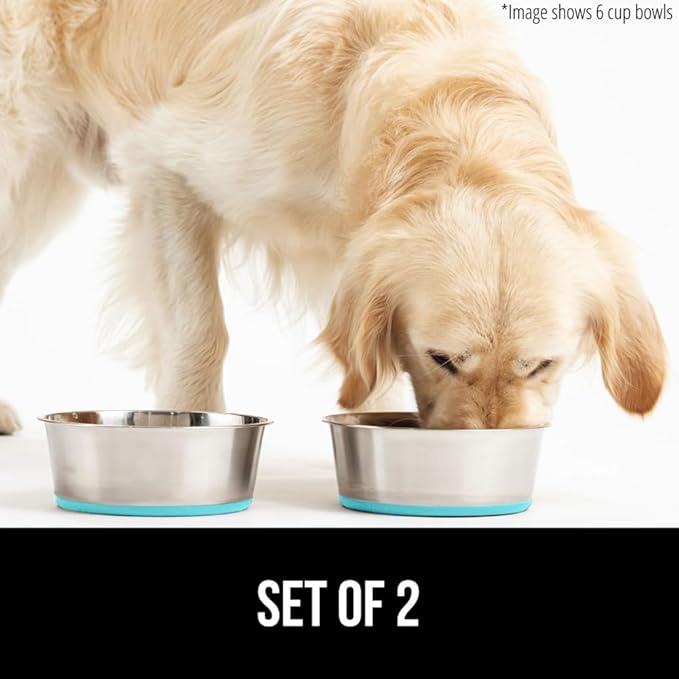 GORILLA GRIP Dog Bowls, Holds 2 Cups Each (16 fl oz), Heavy Duty Stainless Steel Food and Water Bowl for Feeding Dogs and Cats, Dishwasher Safe, Rust Resistant BPA Free Rubber Base, Set of 2 Turquoise