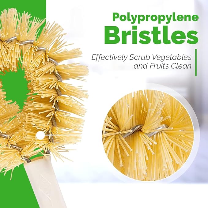 Stanley Home Products Original Vegetable Brush - Sturdy Compact Kitchen Brush for Small to Medium Veggies and Fruits - Removes Dirt Cleans Effectively Perfect for Home Use (2 Pack)