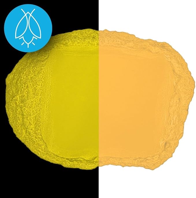 Glow in The Dark Pigment Powder - Neutral and Fluorescent Color for Art Painting, Fine Art, Nail Art Paint, and DIY Crafts - Long Lasting, 10+ Color Options - Fluorescent Orange - (60 Grams/ 2.12 oz)