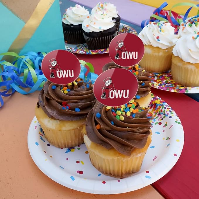Ohio Wesleyan University Primary Logo Cupcake Picks Toppers Decoration Set of 6