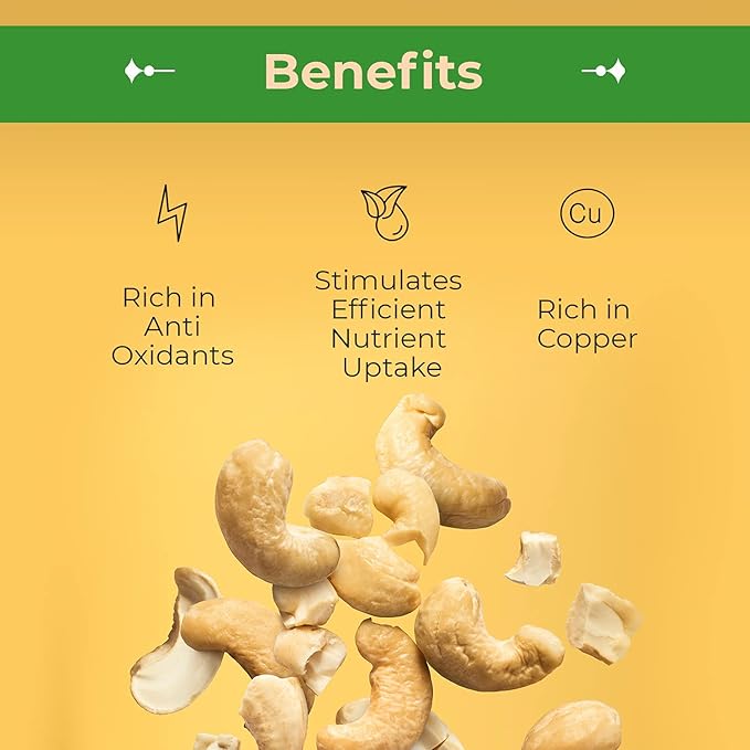 Sincerely Nuts - Raw Cashews Pieces Unsalted | Healthy Snack, Source of Protein | Keto and Paleo Friendly Gourmet Quality Vegan | Organic Cashew Nuts Bulk, 5 lb. Bag
