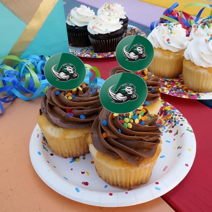 Slippery Rock Primary Logo Cupcake Picks Toppers Decoration Set of 6