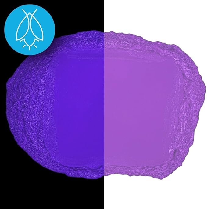 Glow in The Dark Pigment Powder - Neutral and Fluorescent Color for Art Painting, Fine Art, Nail Art Paint, and DIY Crafts - Long Lasting, 10+ Color Options - Fluorescent Purple - (120 Grams/4 Ounces)