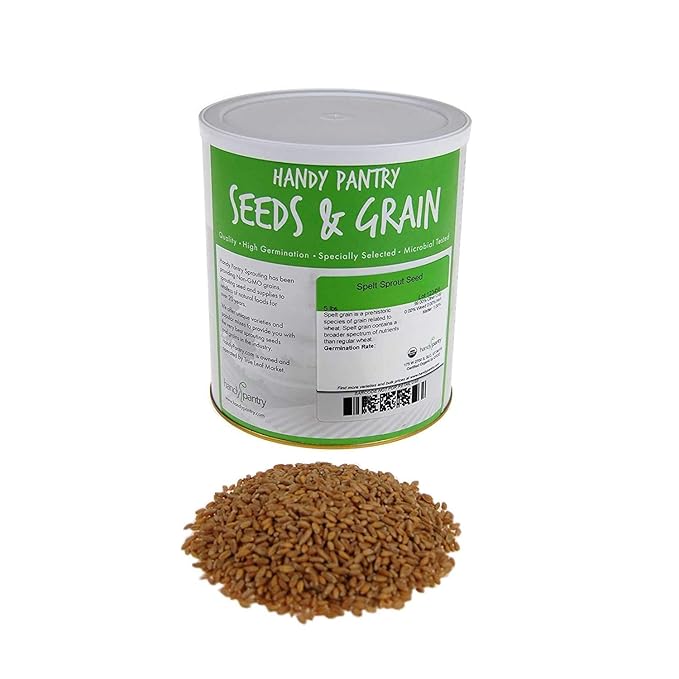 Handy Pantry Organic Spelt Seeds – Whole Grain for Bread, Juicing, Emergency Pantry, Grass Growing – 5 lb Sealed Can – Natural, Raw, Long-Term Storage