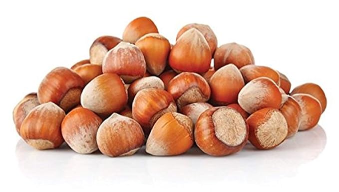 Natural In Shell Raw Oregon Filberts/Hazelnuts (5 Lbs.) - Vegan & Keto Friendly - Super Crunchy & Delicious - Packed with Nutrients - Farm Fresh Nuts Brand