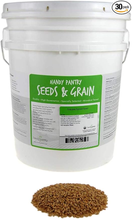 Organic Triticale Seeds- 30 Lbs- Triticale Grain Seed: Sprouting Sprouts, Cooking, Grind Flour, Food Storage & More