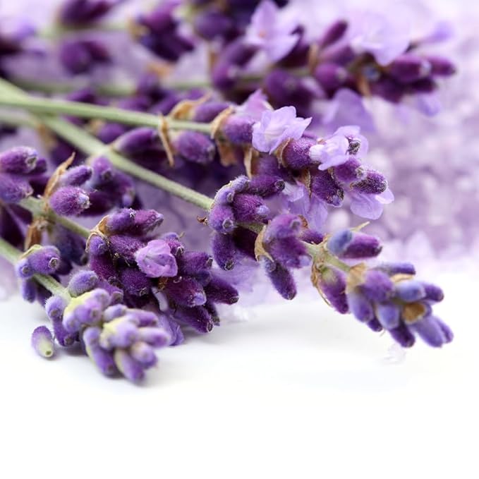 OliveNation Premium Lavender Extract from Natural Flavors, Light Floral Flavoring for Baked Goods, Beverages, Sauces, Non-GMO, Kosher, Vegan - 8 oz