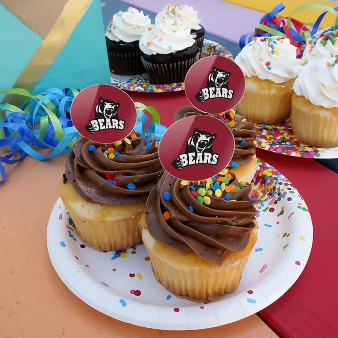 Lenoir-Rhyne University Primary Logo Cupcake Picks Toppers Decoration Set of 6