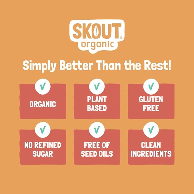 Skout Organic Blueberry Blast Real Kids Snack Bars (18 Pack) | Organic Kids Snack Bars | Plant-Based Nutrition, No Refined Sugar | Vegan | Gluten, Dairy, Grain, Peanut, Tree Nut & Soy Free
