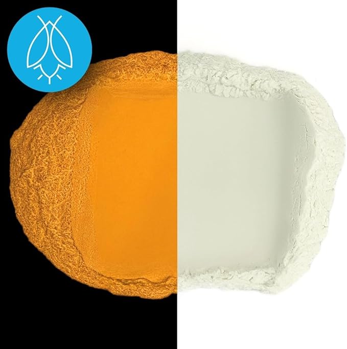 Glow in The Dark Pigment Powder - Neutral and Fluorescent Color for Art Painting, Fine Art, Nail Art Paint, and DIY Crafts - Long Lasting, 10+ Color Options - Neutral Orange - (60 Grams/ 2.12 oz)