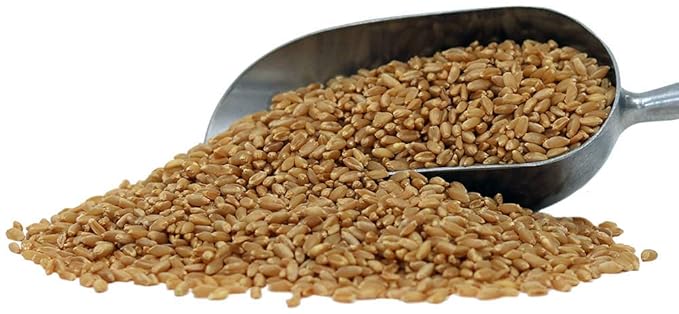 Organic Hard White Wheat Berries