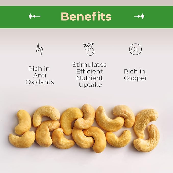 Sincerely Nuts – Whole Cashews - Roasted and Unsalted | High in Protein Everyday Healthy Snack - Rich in Nutrients |Vegan, Keto & Kosher | Gourmet Quality Vegan Cashew - 3 (LB). Bag