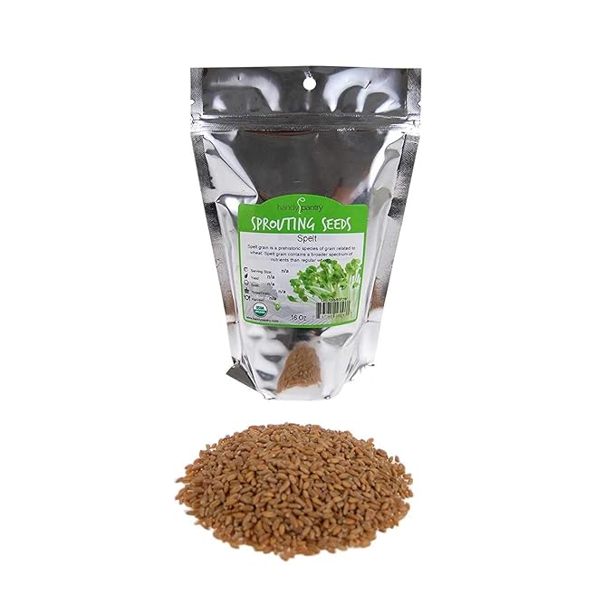 Handy Pantry Organic Spelt Seeds – Whole Ancient Grain for Baking, Juicing, Microgreens, Food Storage – 1 lb Resealable Bag – Non-GMO, Unprocessed, Raw