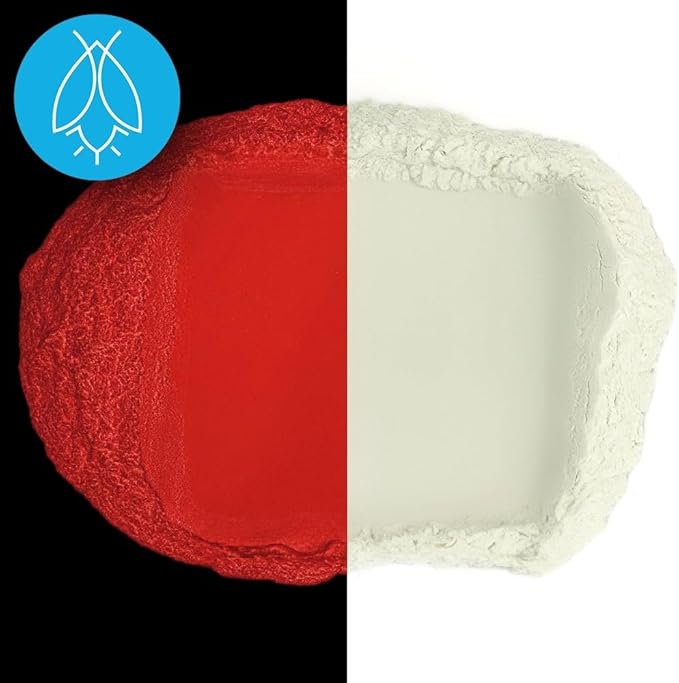 Glow in The Dark Pigment Powder - Neutral and Fluorescent Color for Art Painting, Fine Art, Nail Art Paint, and DIY Crafts - Long Lasting, 10+ Color Options - Neutral Red - (12 Grams/ .42oz)