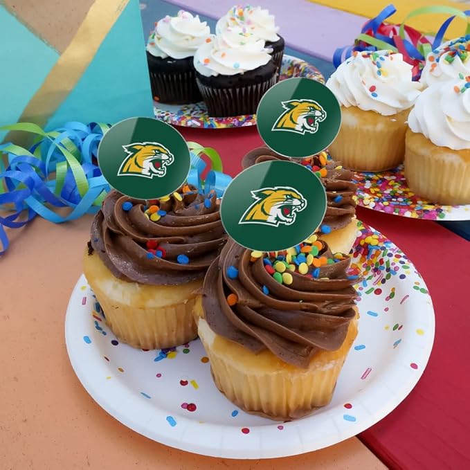 Northern Michigan Primary Logo Cupcake Picks Toppers Decoration Set of 6
