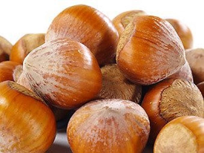 Raw In Shell Filberts/Hazelnuts (1 Lbs.) - Vegan & Keto Friendly - Super Crunchy & Delicious - Natural jumbo Oregon Filberts/Hazelnuts - Packed with Nutrients - Farm Fresh Nuts Brand