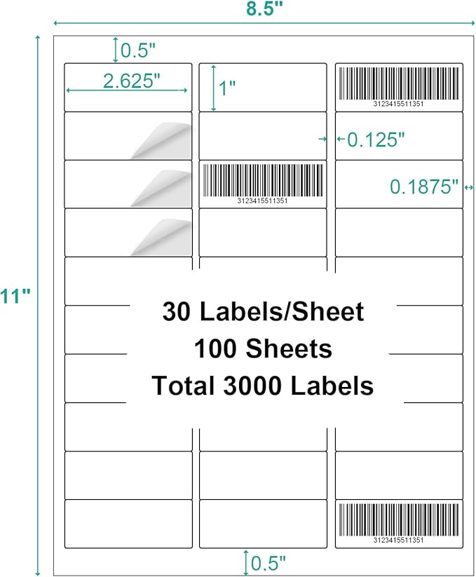 100 Sheets 3000 Labels Address Labels Sticker for Laser & Inkjet Printer, 1" x 2-5/8" White Blank Printable Shipping Address Labels, Strong Adhesive for FBA Label, Easy to Peel