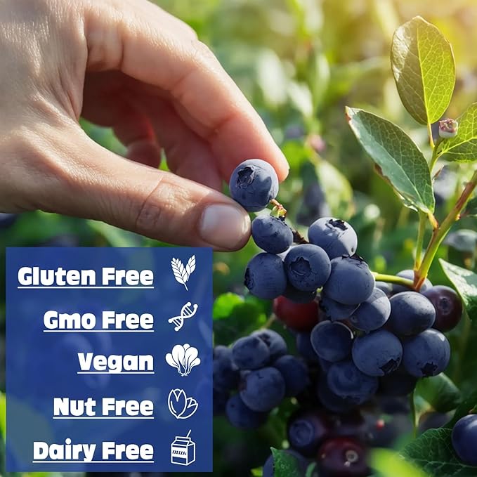 Freeze Dried Blueberry Powder - Kiigfood 6 oz/170g Natural Blueberry Powder Fruit Powder, Organic Blueberry Extract for Smoothie, Drinks, Christmas Baking, Cakes Decoration - Vegan, Non-GMO, Gluten-Free