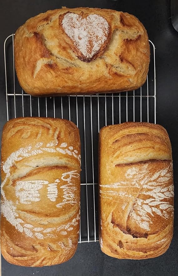 10.5x5 Inch Cast Iron Loaf Pan with Lid - 2.2 QT Durable Loaf Pans Rectangular Baking Pan Even Heat Distribution for home baking 2 Piece Set (Stainless steel grill mat 4-Piece set, Large)