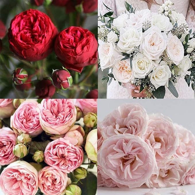 15PCS Rose & Peony Fondant Mold Kit, Silicone Gum Paste Sugar Craft Flower Veining Set for Birthday Cake Decoration