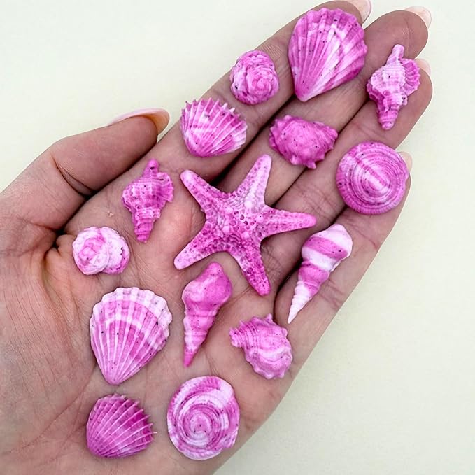 15 Dye Free Seashell Edible Cake Decorations, Vegan, Gluten-Free, Edible Cake Toppers for Cupcakes, Cookies & Desserts, by Simply Sucré (30 Pieces (Bulk Box), Magenta)