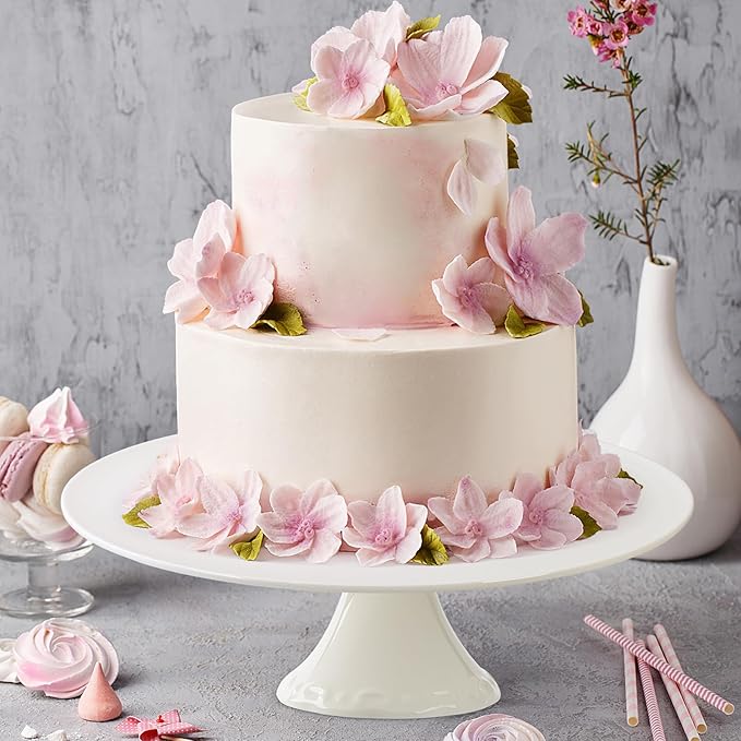 9 Inch White Porcelain Cake Stand, Round Dessert Stand, Display Cupcake Stand for Party, Weddings, Birthday, Baby Shower
