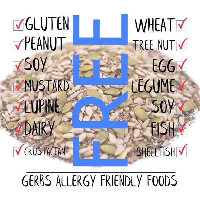 Gerbs Super 5 Seed Snack Mix 1 lb. | Raw, No Artificial Additives, Resealable Bag | Crunchy Pumpkin, Sunflower, Flax, Chia & Hemp Blend | Top 14 Allergen-Free